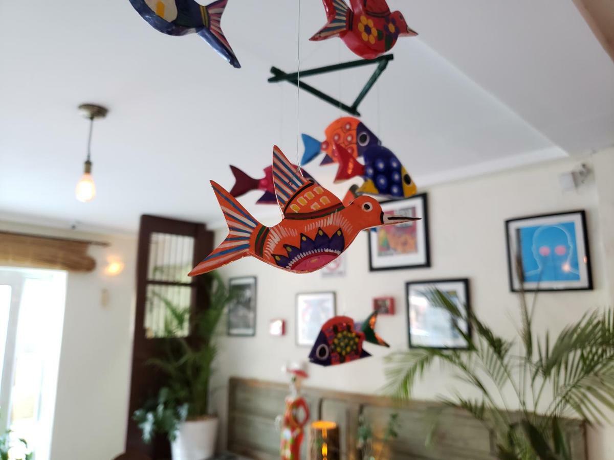 小广场酒店 梅里达 外观 照片